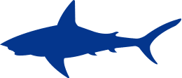 shark